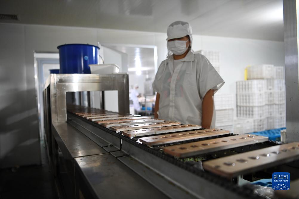 扑鱼达人游戏有什么技巧